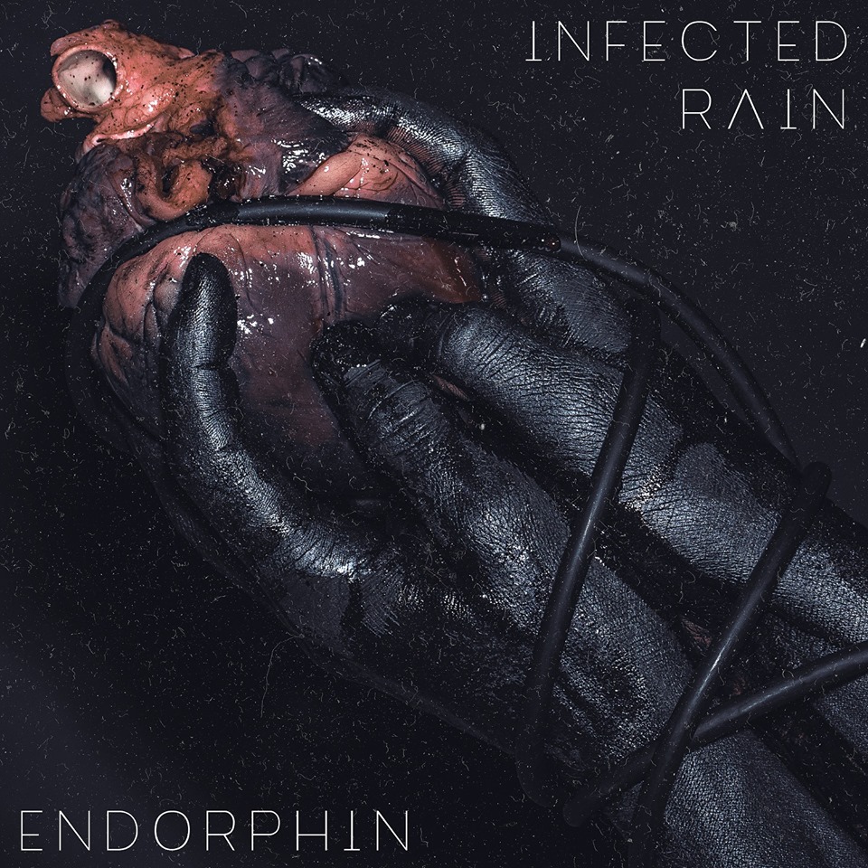 Image de l'album de l'artiste  - Endorphin 