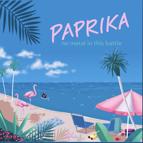 Image de l'album de l'artiste No Metal In This Battle - Paprika 